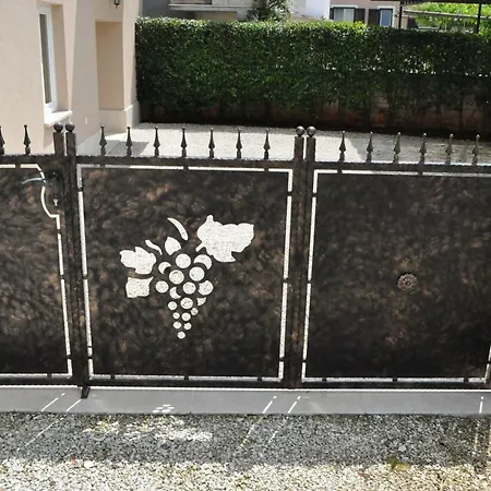 Vila Cvitan * Basici